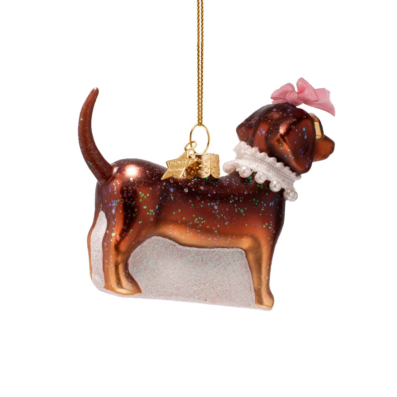 Bruine hond met parels - Vondels