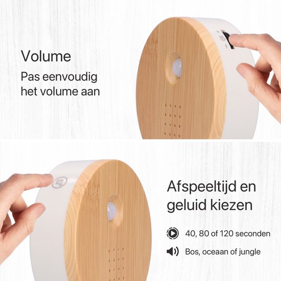 Nature sound box - licht hout