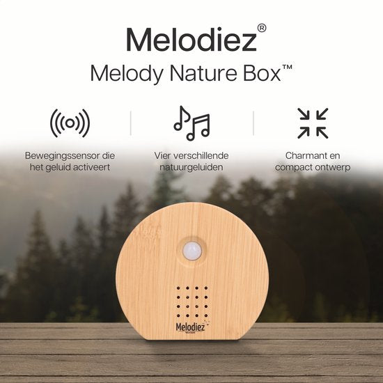 Nature sound box - licht hout