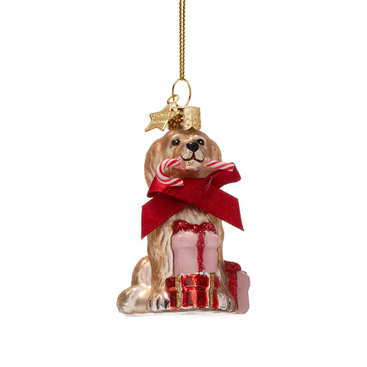 Hond met cadeaus - Vondels