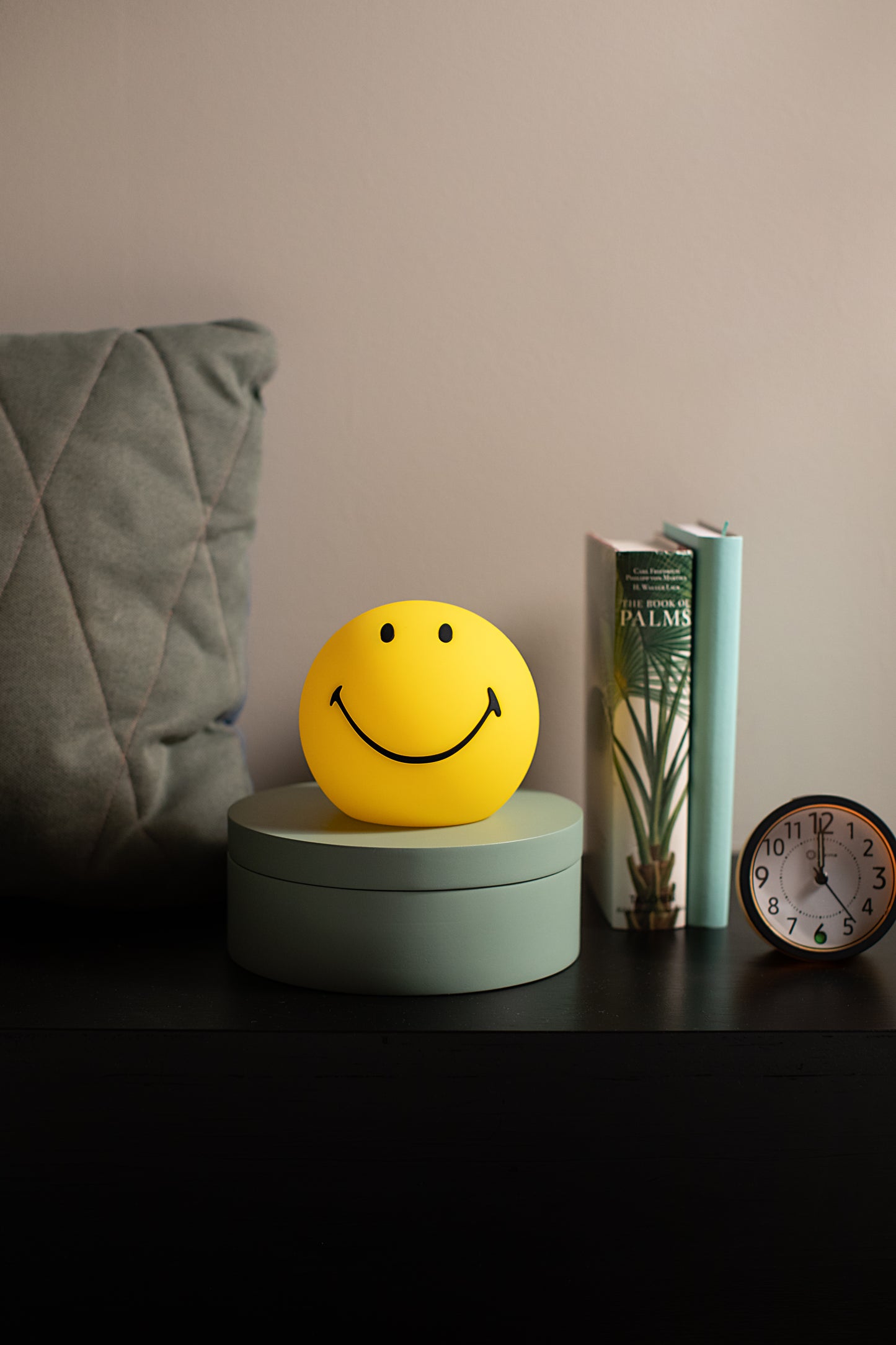 Smiley small - Mr Maria