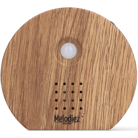Nature sound box - hout