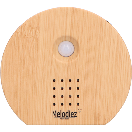 Nature sound box - licht hout